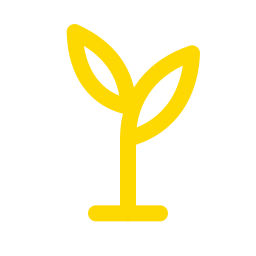 Apoyo a emprendedores en emarket Naranjo